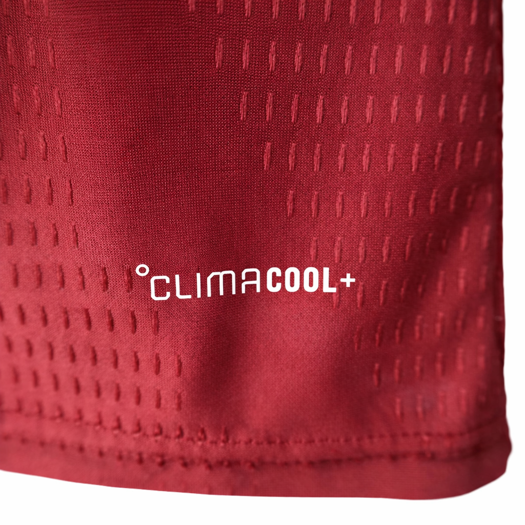 Qatar 2026 World Cup Home PLAYER jersey